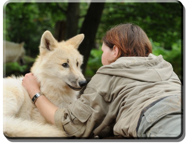 Wolfspark Werner Freund - Tatjana Schneider